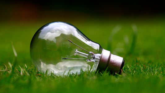 A light bulb lies on grass, symbolizing energy protection amid nature, reflecting the theme of shielding your energy through powerful charms.