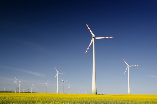 Wind turbines in a vibrant yellow field under a clear blue sky, symbolizing energy transformation and positive energy protection.