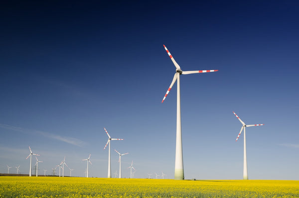 Wind turbines in a vibrant yellow field under a clear blue sky, symbolizing energy transformation and positive energy protection.